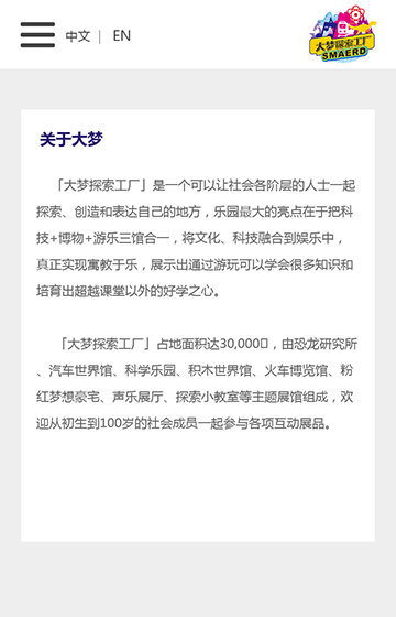 大霞創意網站案例圖片1