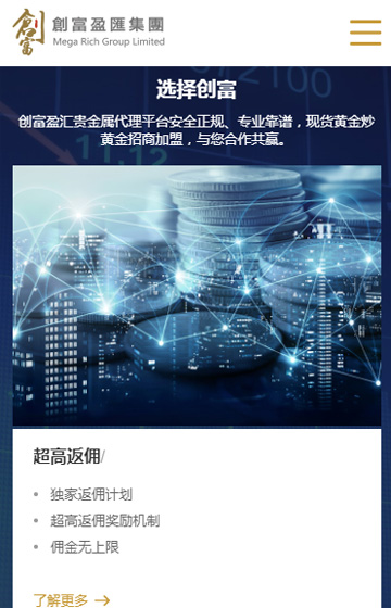 創富盈匯集團有限公司網站案例圖片2