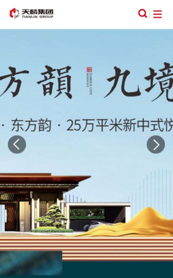 天麟投資網站案例圖片0