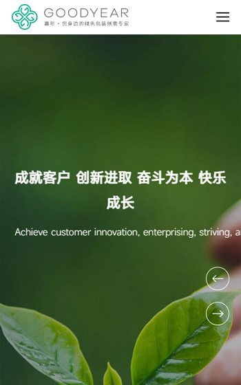 嘉年印務網站案例圖片0