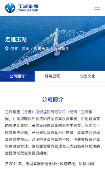 玉湖集團網站案例圖片0