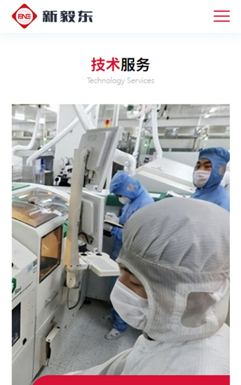 新毅東（上海）科技網站案例圖片2