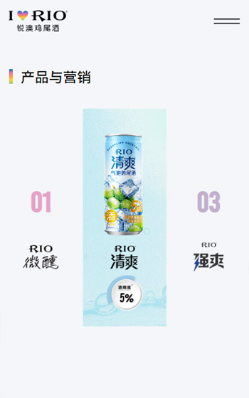 上海巴克斯酒業有限公司（銳澳）網站案例圖片1