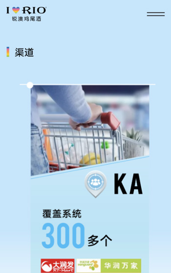 上海巴克斯酒業有限公司（銳澳）網站案例圖片3