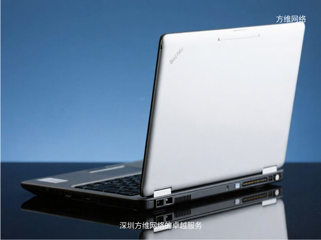 深圳方維網(wǎng)絡(luò)的卓越服務(wù)