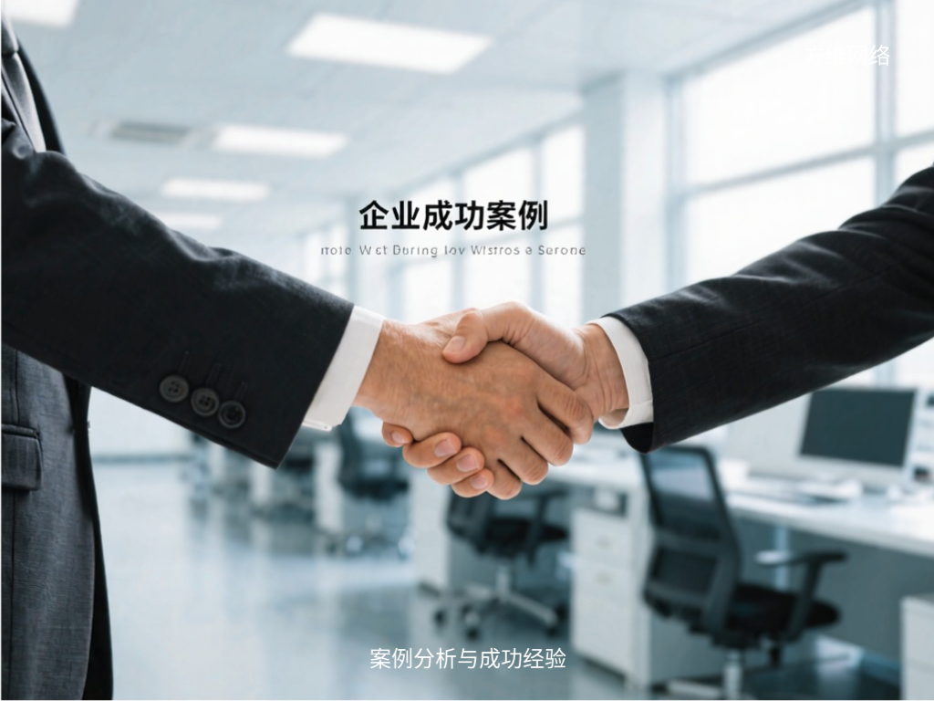 案例分析與成功經(jīng)驗(yàn)