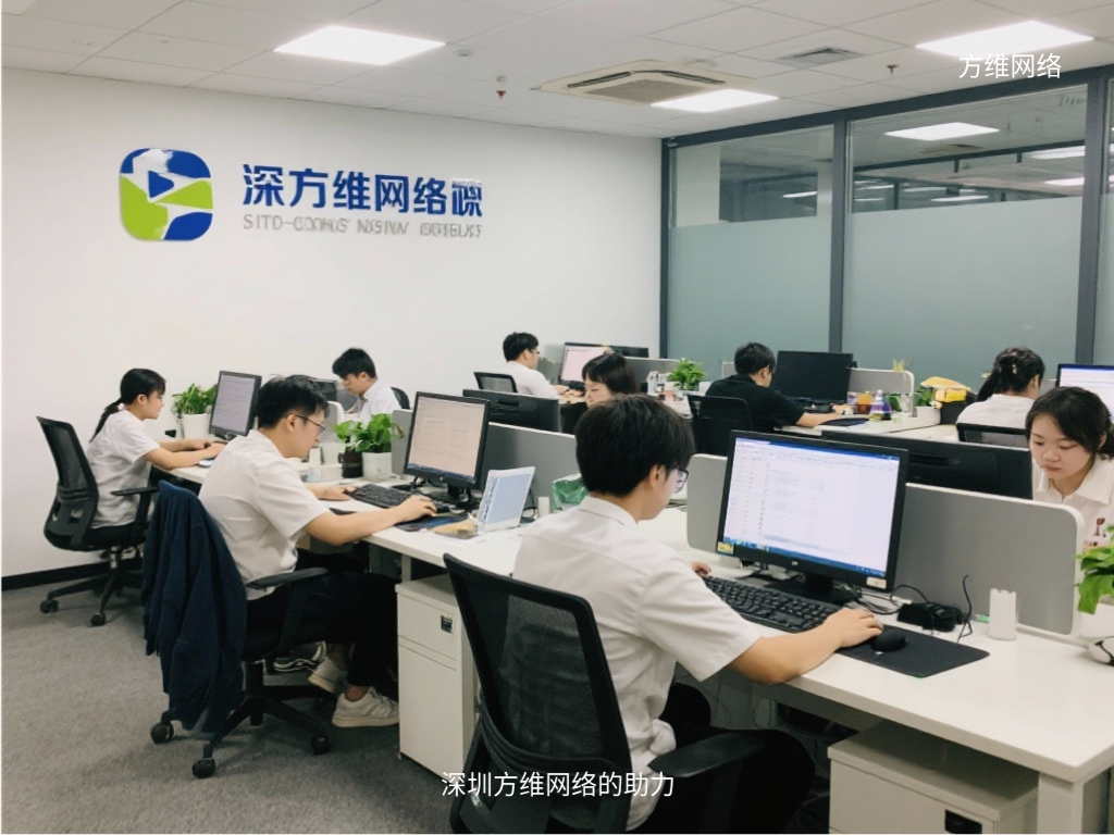 深圳方維網絡的助力