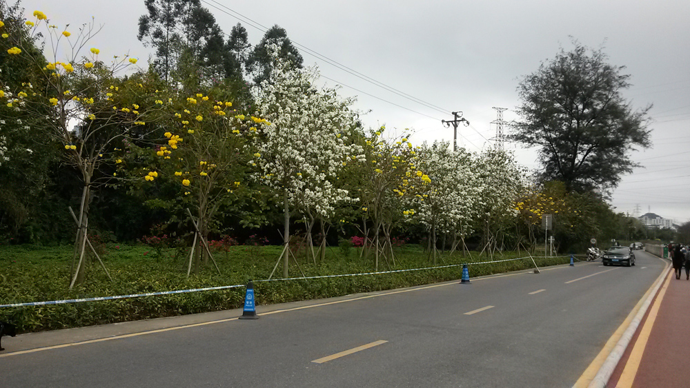 方維網絡仙湖行